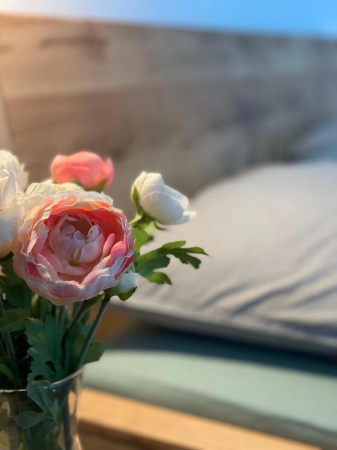 Plesivec U Sjezdovky Appartement Abertamy