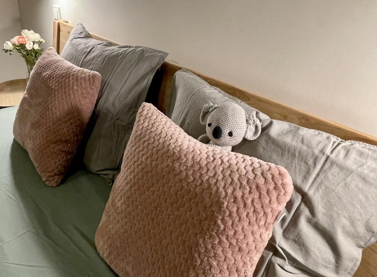 Plesivec U Sjezdovky Apartmán
